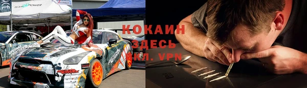 дмт Бородино