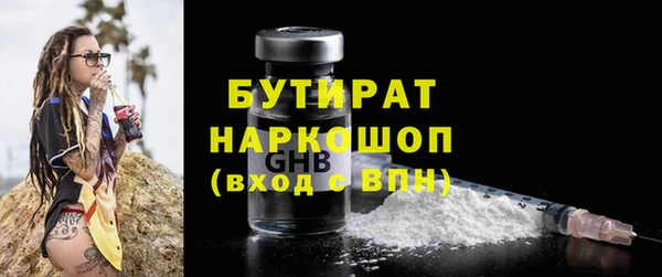 дмт Бородино