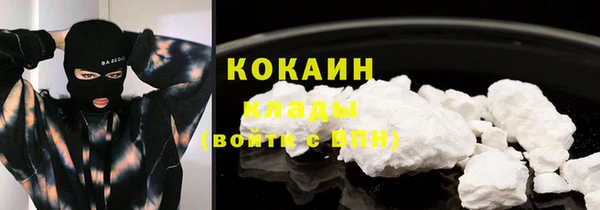 дмт Бородино