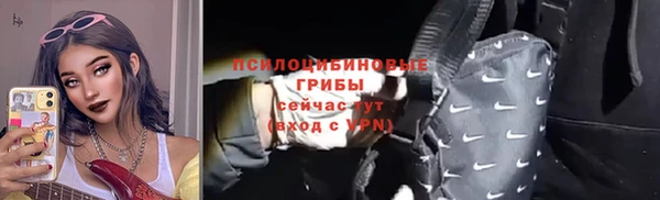 дмт Бородино