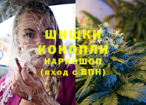 дмт Бородино