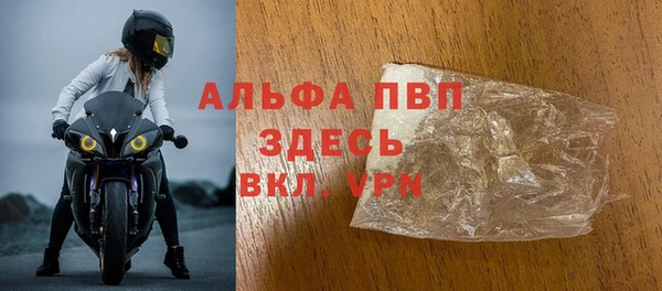 дмт Бородино