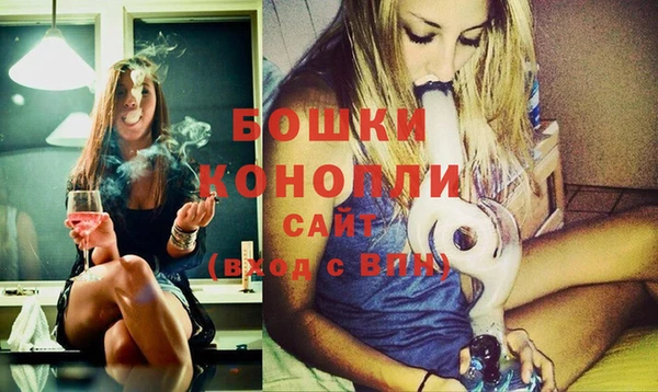 дмт Бородино