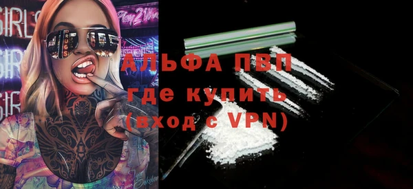 дмт Бородино