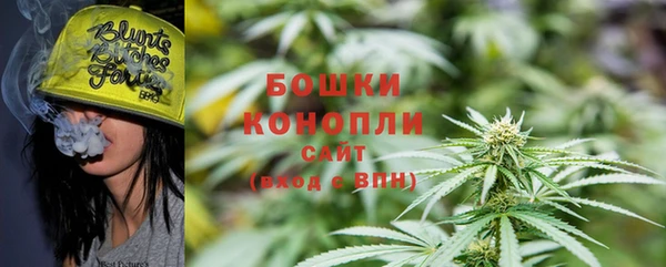 дмт Бородино