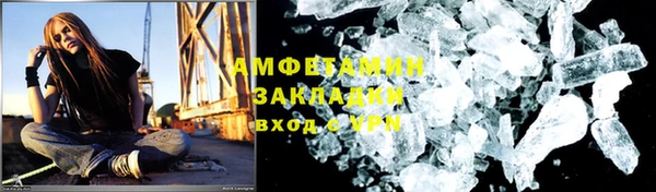дмт Бородино
