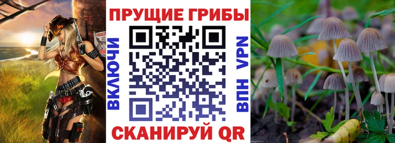 Псилоцибиновые грибы Magic Shrooms  блэк спрут ТОР  Приволжский  купить  цена 